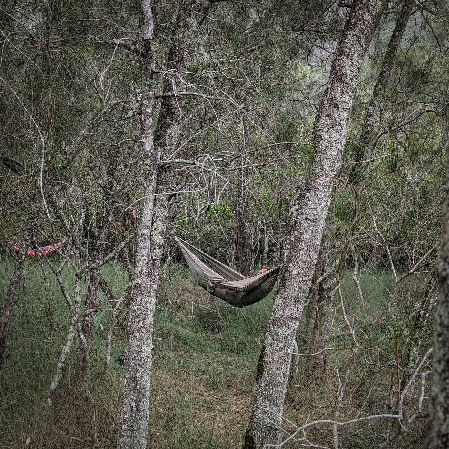 Nomad Hammock with straps