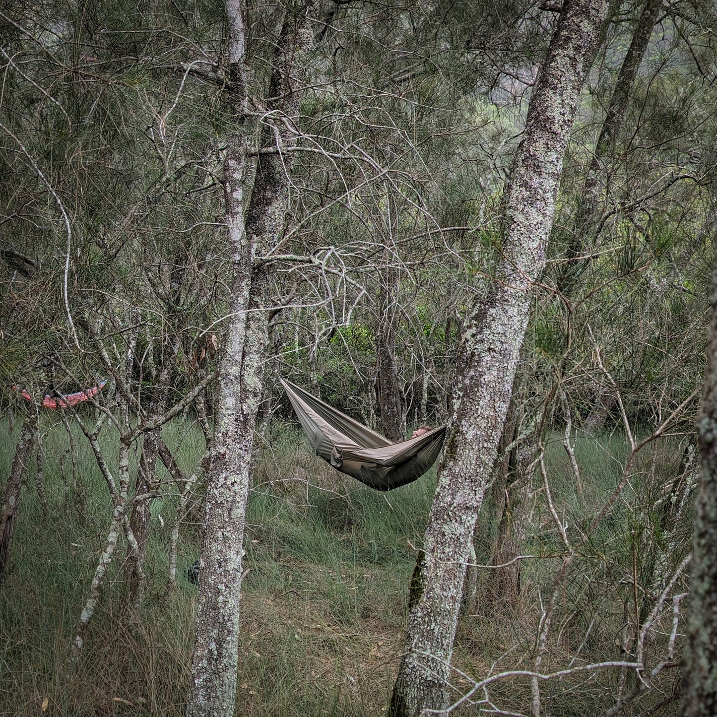 Lightweight Double Hammock